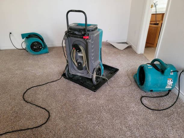 Best Water damage restoration company  in Tilton Northfield, NH