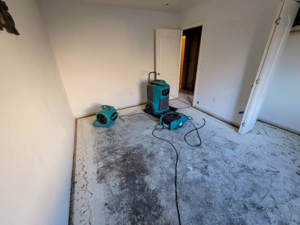Best Water damage restoration near me  in Tilton Northfield, NH