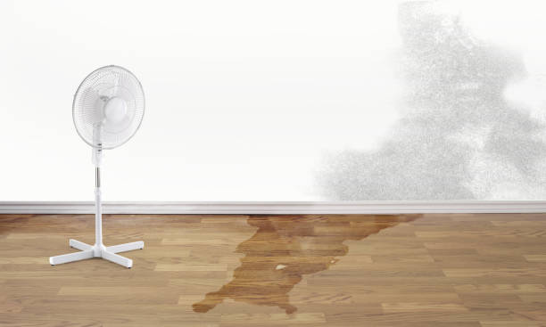 Best Local water damage restoration  in Tilton Northfield, NH