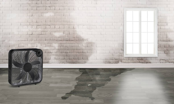 Local water damage restoration in NH