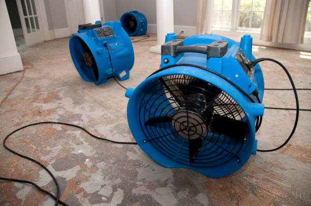 Sewage cleanup and water damage restoration in NH