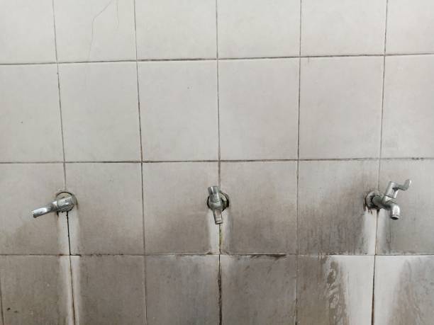 Best Flood restoration services  in Tilton Northfield, NH