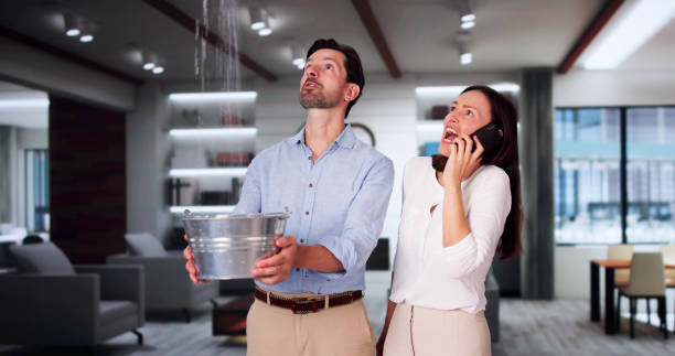 Best Ceiling water damage repair  in Tilton Northfield, NH