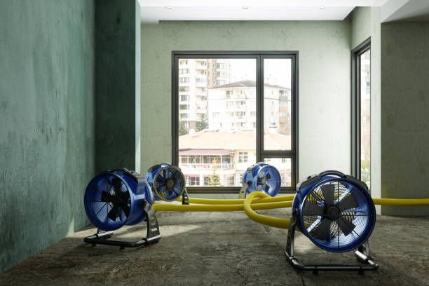Best Water damage repair service  in Tilton Northfield, NH